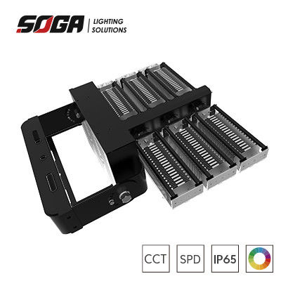 satın al Gary veya Black Housing Color Rugged IP66 LED Stadyum Işıkları Esnek Aygıtlar ve Ayrılabilir Sürücü Kutusu ile online manufacture